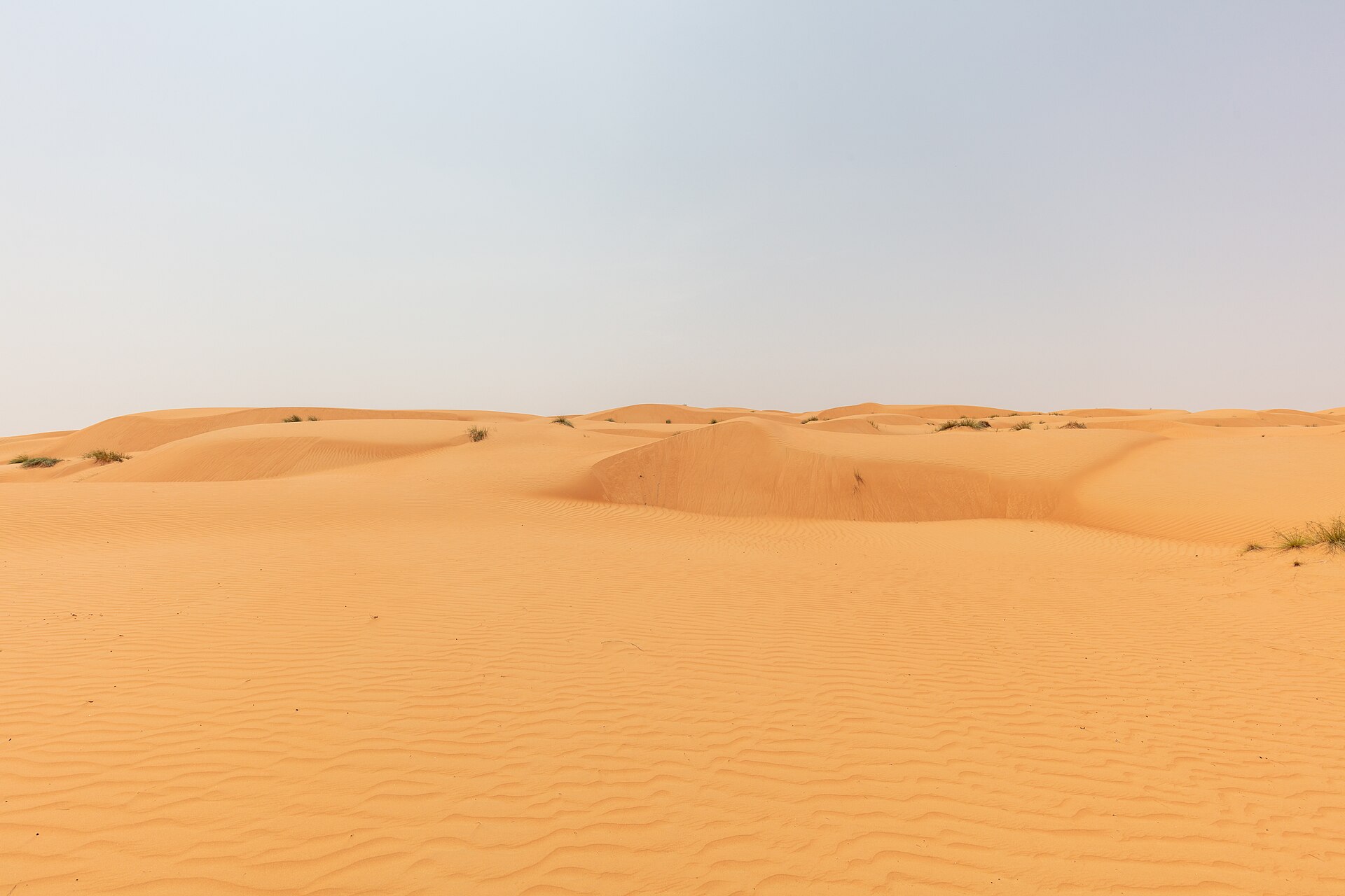 وهيبة من بدية